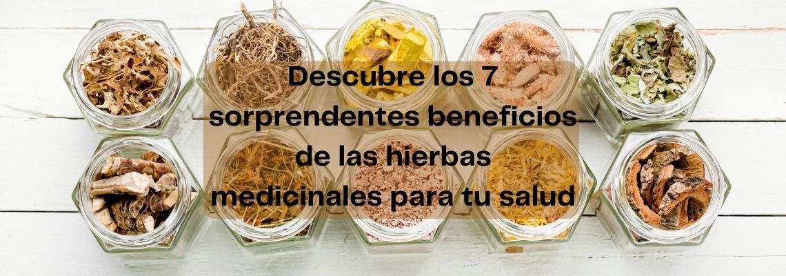 Descubre los 7 sorprendentes beneficios de las hierbas medicinales para tu salud
