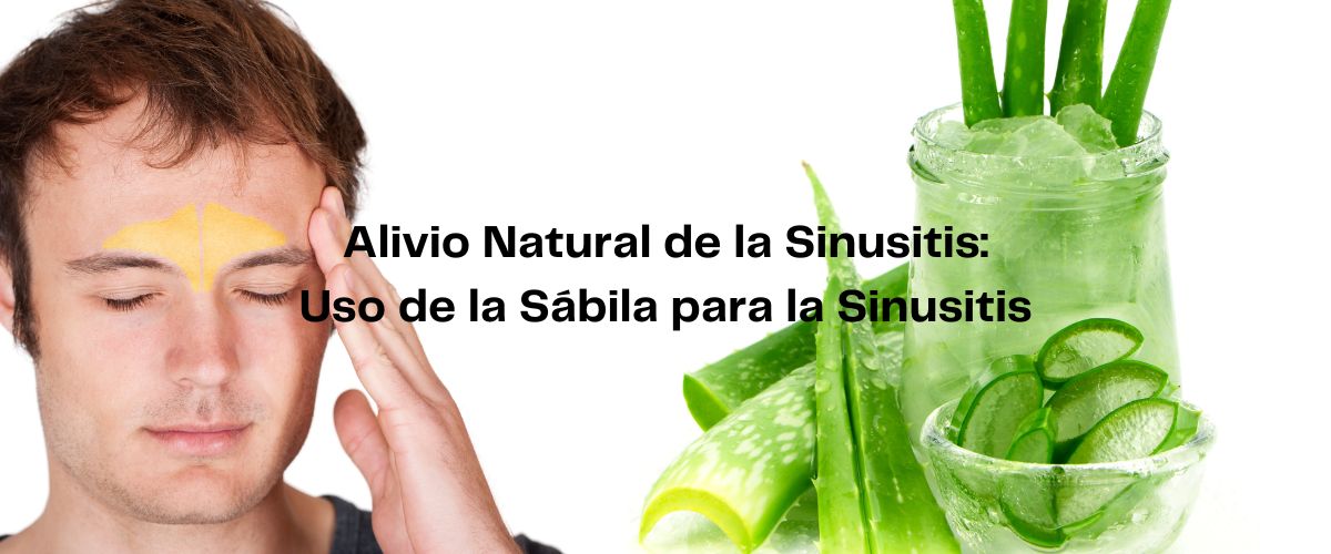 Alivio Natural de la Sinusitis: Uso de la Sábila para la Sinusitis