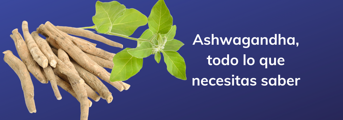 Ashwagandha en casitodoonline