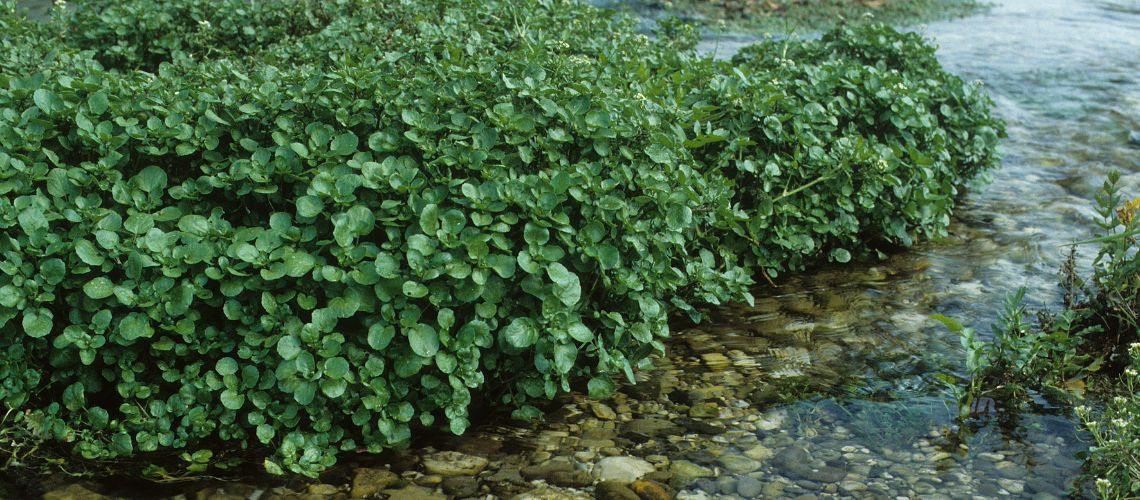 Beneficios del barro en Casitodoonline