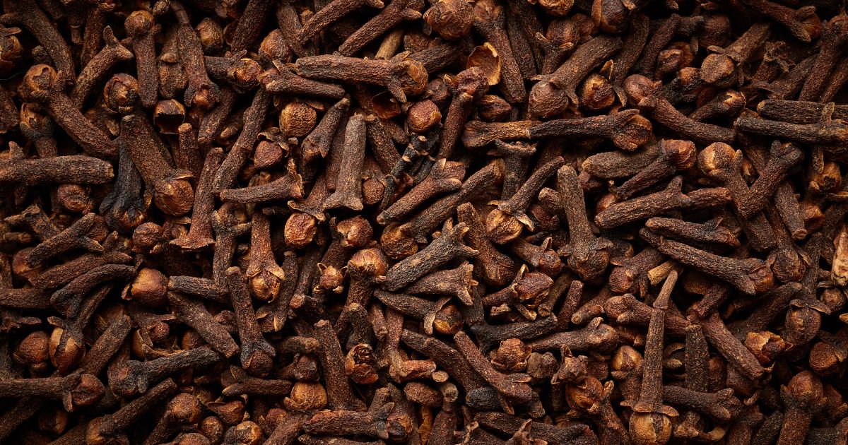 Clavo de olor en Casitodoonline