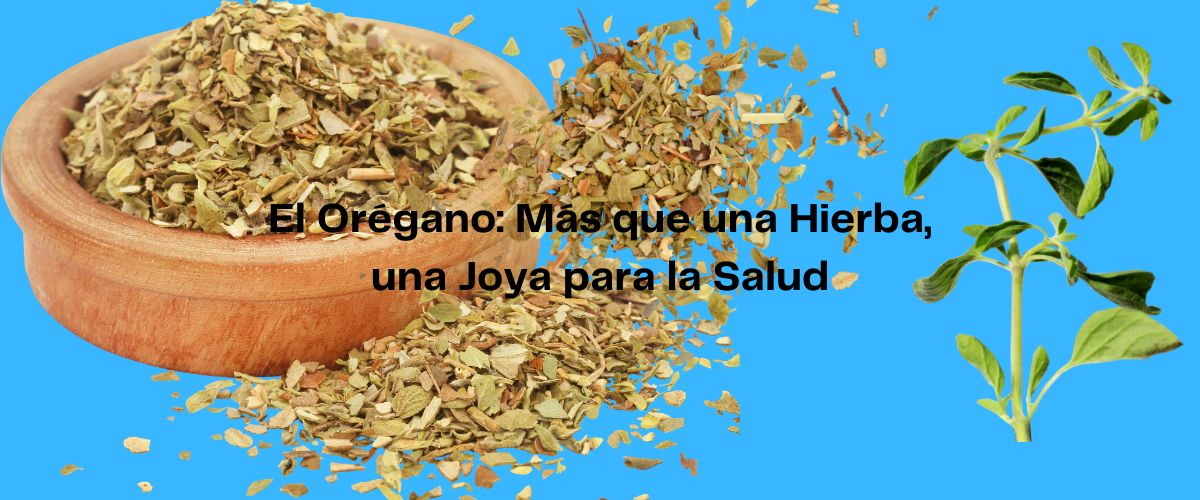Oregano en Casitodoonline