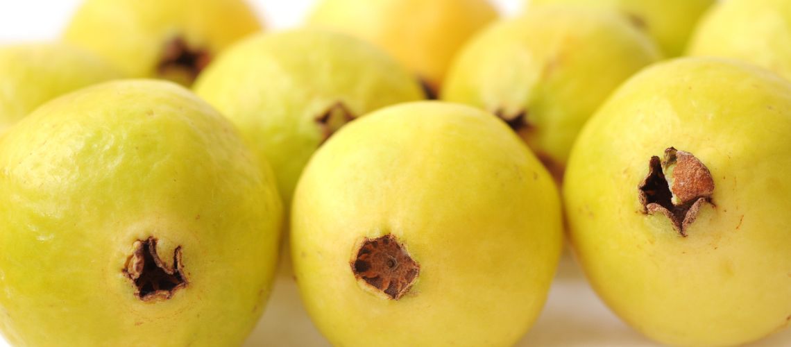 Beneficios de la Guayaba en Casitodoonline