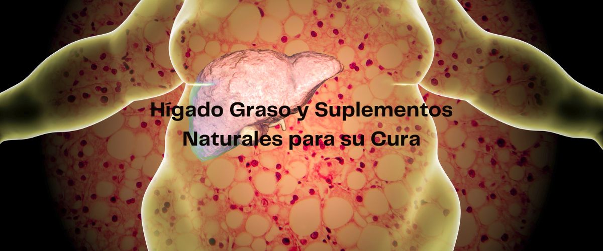 Hígado Graso y Suplementos Naturales para su Cura
