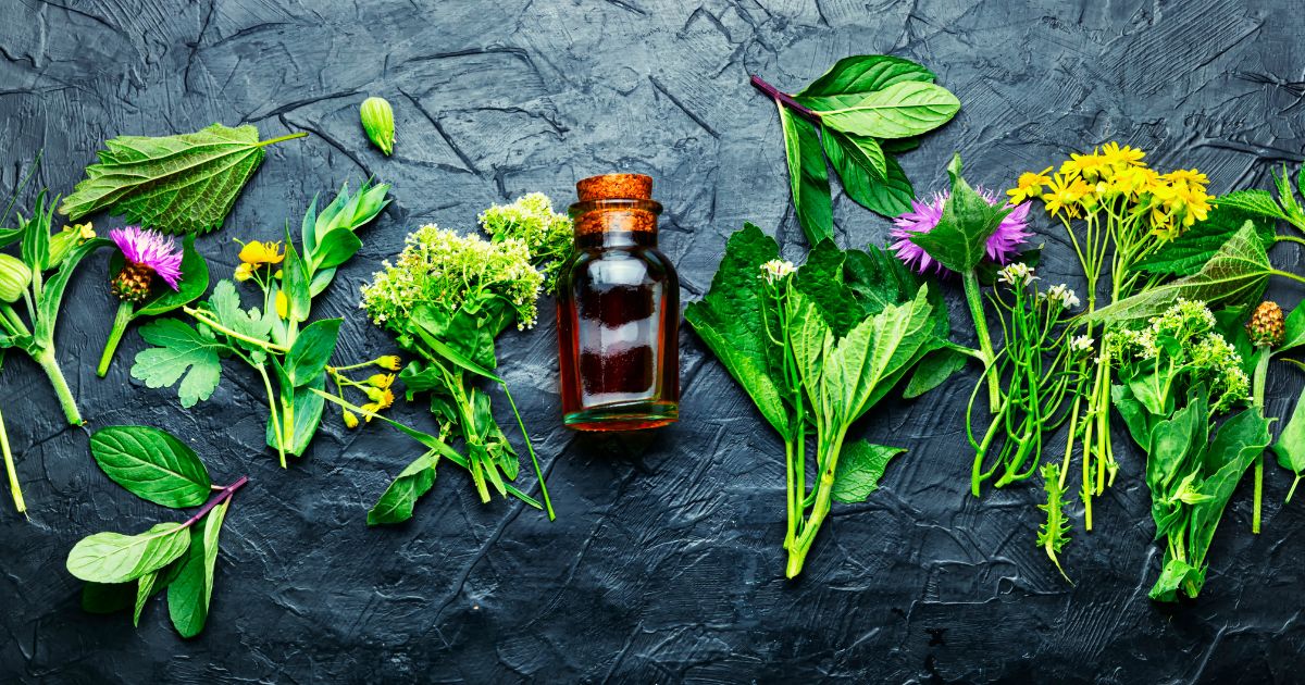 Medicina Ortomolecular en Casitodoonline