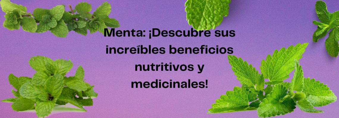 Menta: ¡Descubre sus increíbles beneficios nutritivos y medicinales!