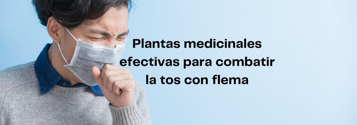 Plantas medicinales para la tos en casitodoonline
