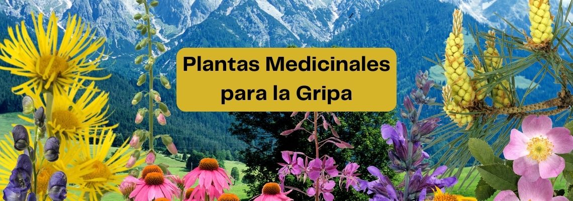 Plantas Medicinales para Combatir la Gripe