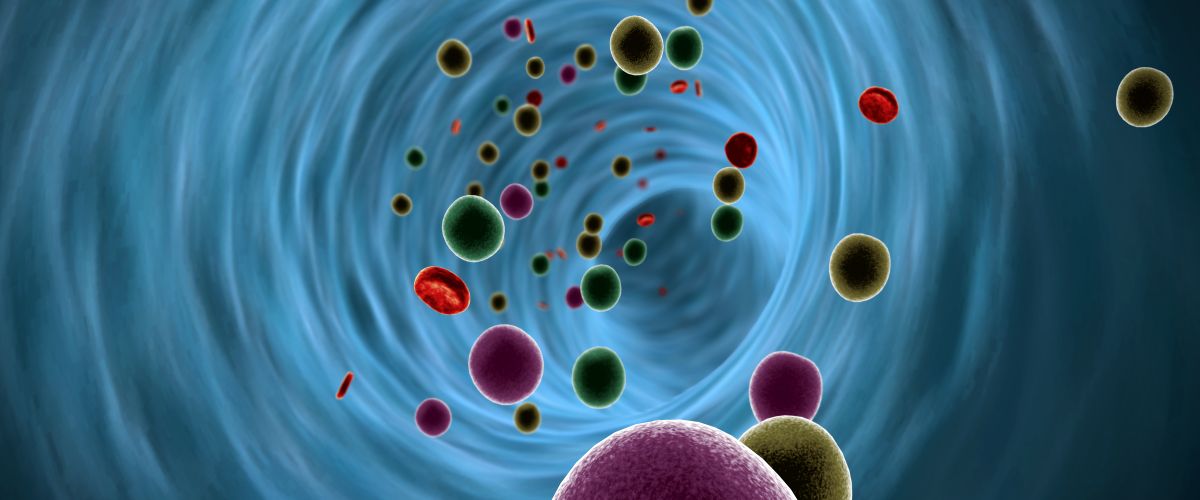 Plaquetas en la Sangre: La Importancia de estas Pequeñas Héroes Sanguíneas