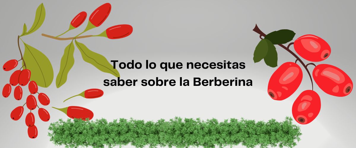 Todo lo que necesitas saber sobre la Berberina