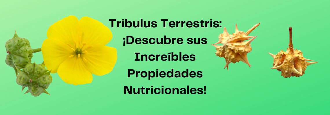 Tribulus terrestris en Casitodoonline