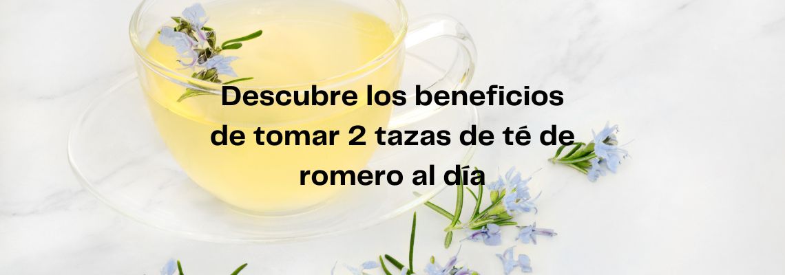 Descubre los beneficios de tomar 2 tazas de té de romero al día
