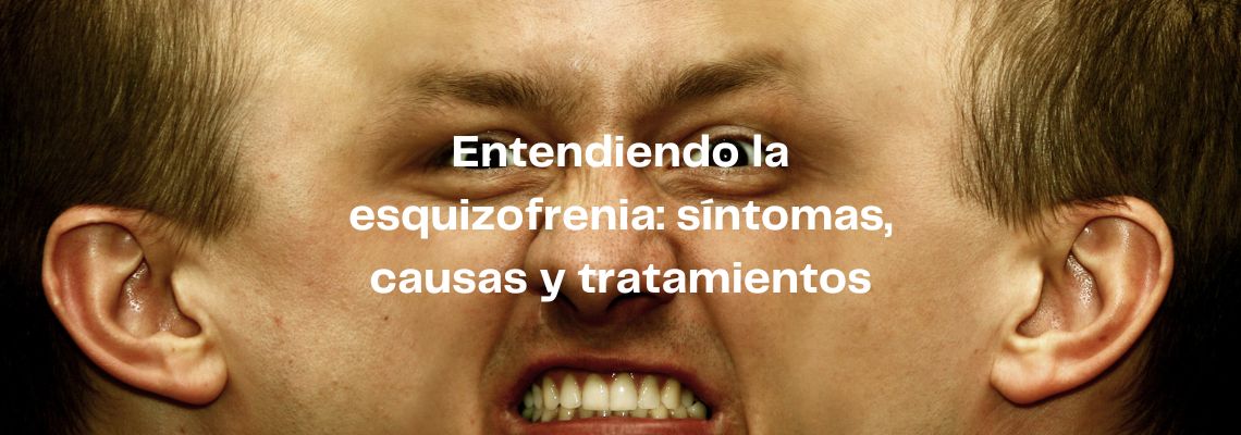 Entendiendo la esquizofrenia en Casitodoonline