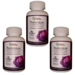 Comprar Probióticos de Col Morada de Refugio del Vergel-3 Pack en Casitodoonline