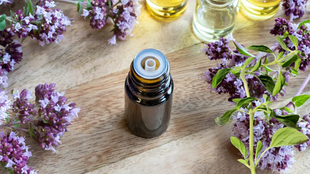 Orégano o Aceite de Orégano: ¿Cuál es Mejor para tu Salud?