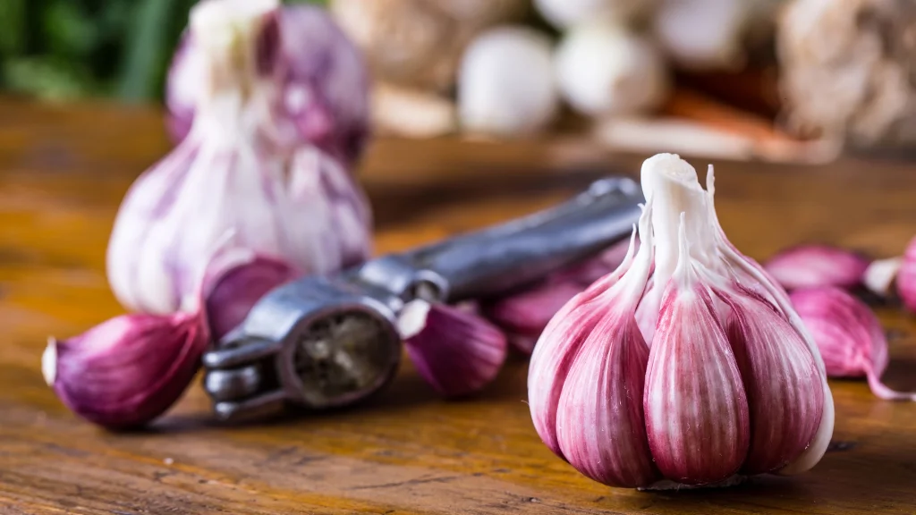 Ajo Fresco en Casitodoonline