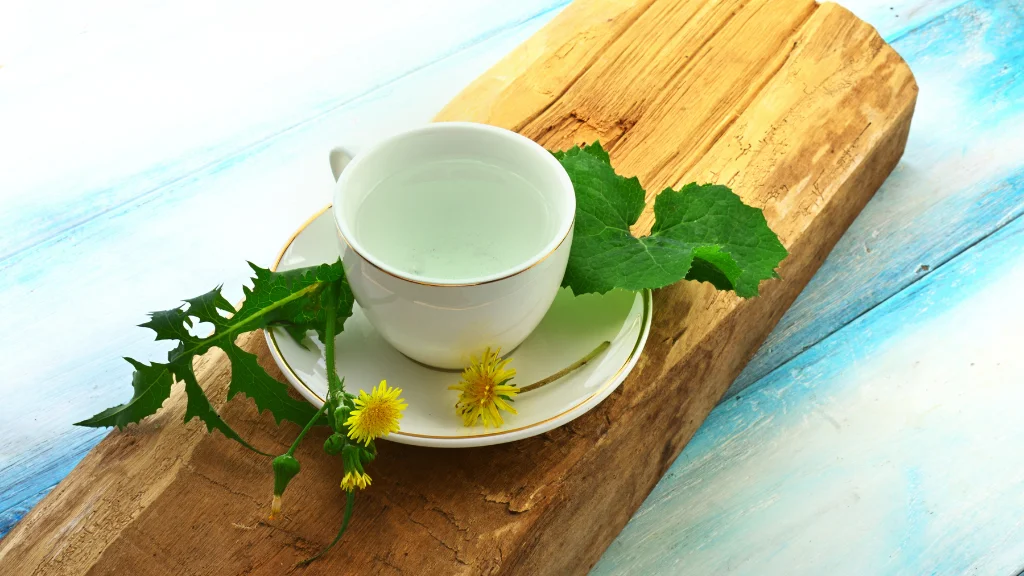 Infusión de Diente de León en Casitodoonline