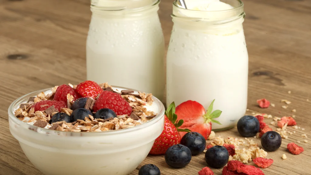 Yogur Natural en Casitodoonline